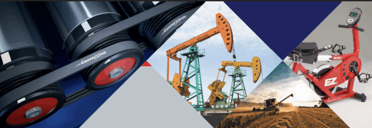 Stratégie marketing B2B internationale – Notoriété et fidélisation – Hutchinson